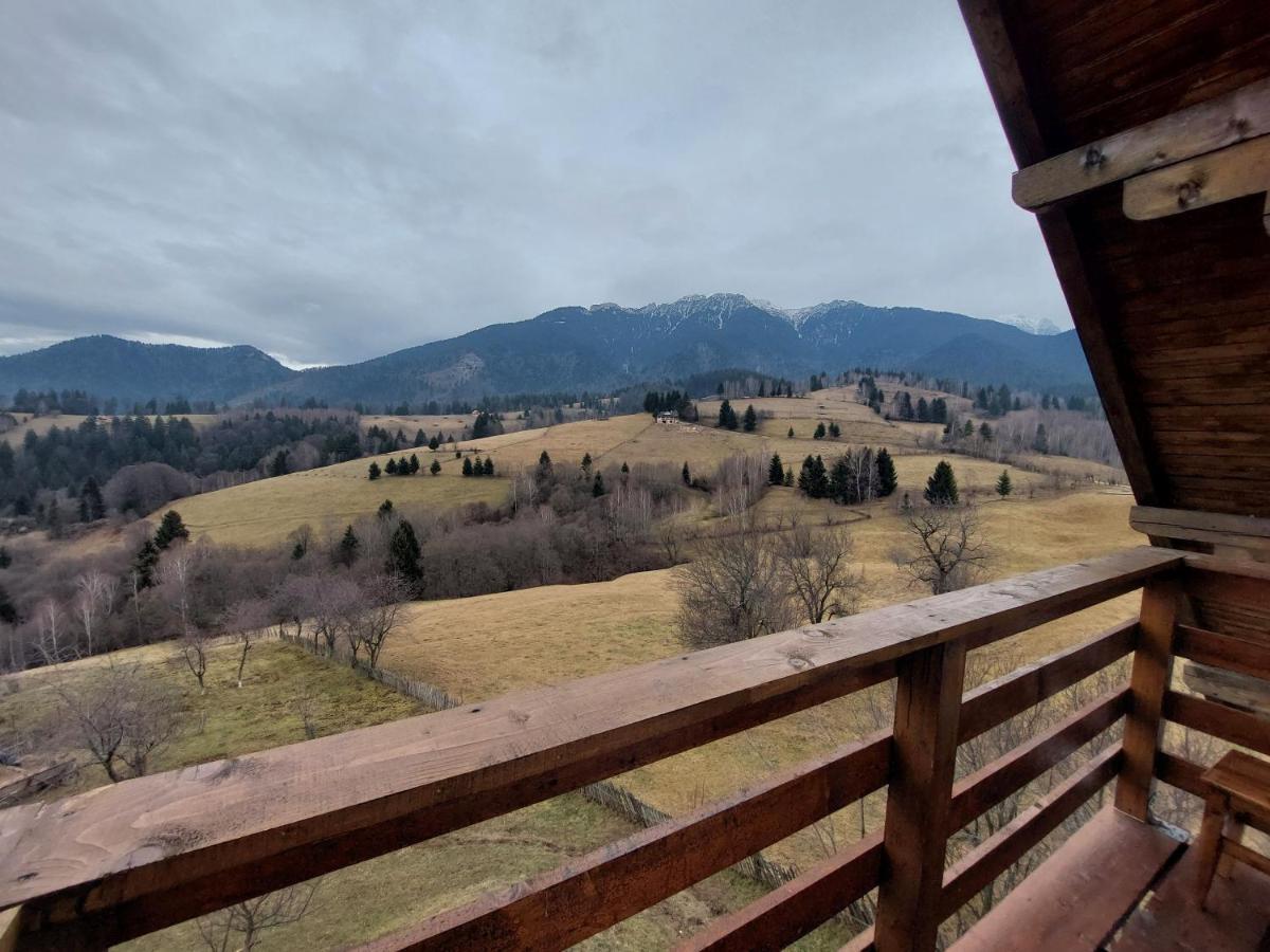 Casa Calea Haiducilor Sohodol  Exteriér fotografie