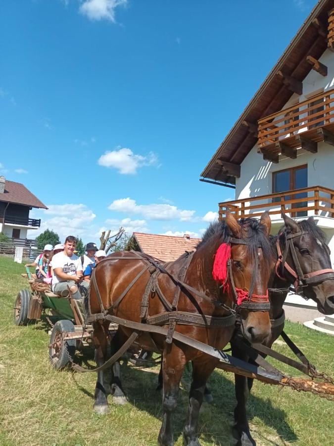 Casa Calea Haiducilor Sohodol  Exteriér fotografie