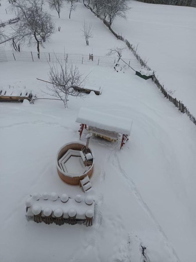 Casa Calea Haiducilor Sohodol  Exteriér fotografie