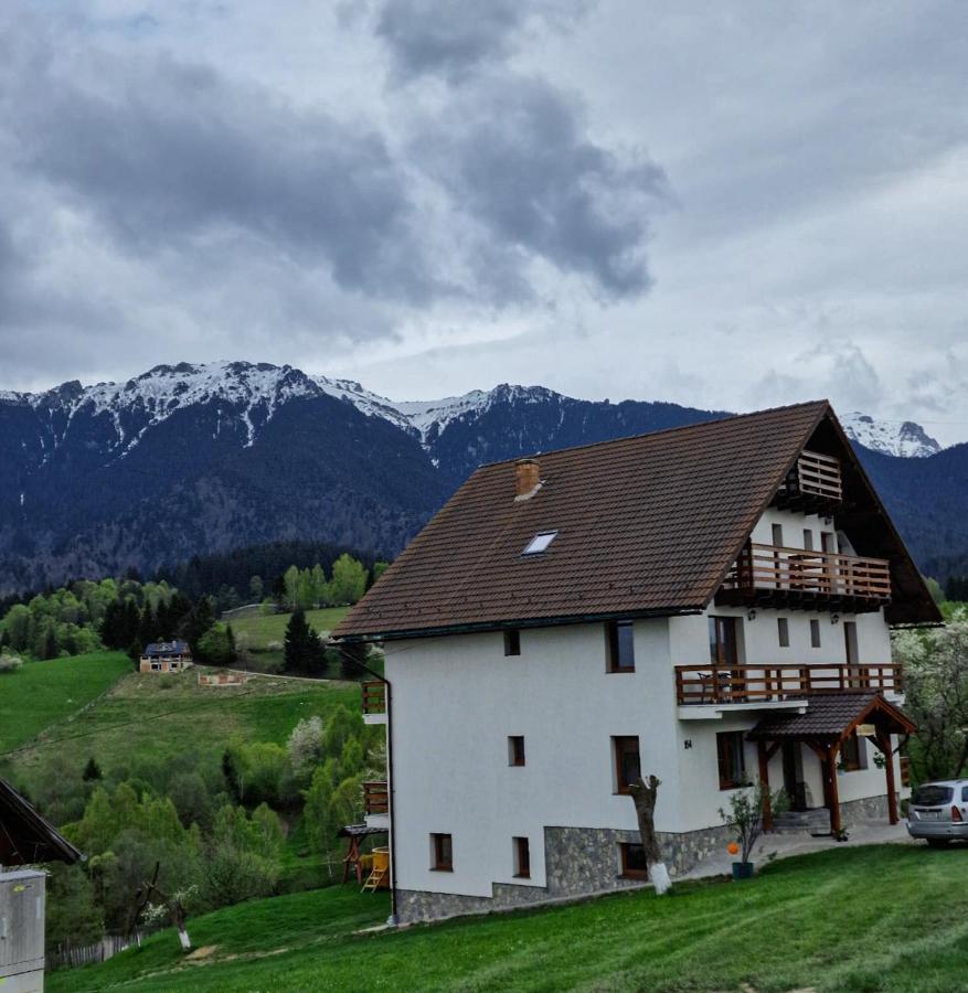 Casa Calea Haiducilor Sohodol  Exteriér fotografie